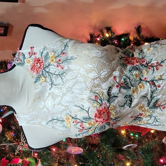 Elizabeth K GLS Apparel Dress - Picture 2 of 16